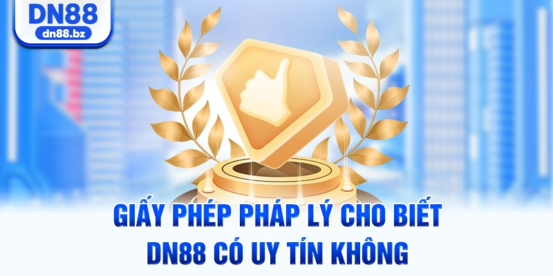 Giấy phép pháp lý cho biết DN88 có uy tín không