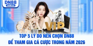 Top 5 Lý Do Nên Chọn DN88 Để Cá Cược Giải Trí Trong Năm 2026