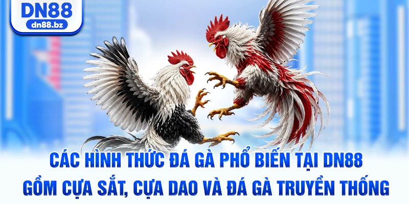 Các hình thức đá gà phổ biến tại DN88 gồm cựa sắt, cựa dao và đá gà truyền thống