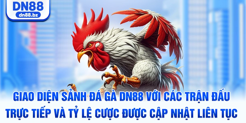 Giao diện sảnh đá gà DN88 với các trận đấu trực tiếp và tỷ lệ cược được cập nhật liên tục